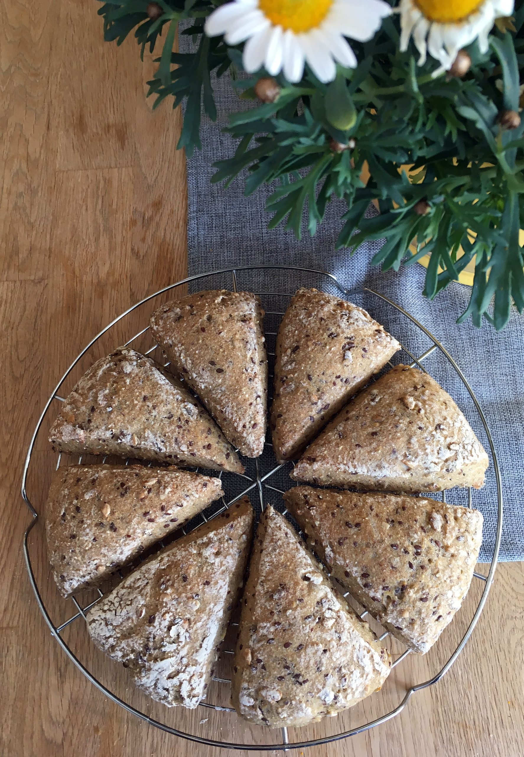 Rezepte - Körnerbrötchen - glutenfrei - weizenfrei