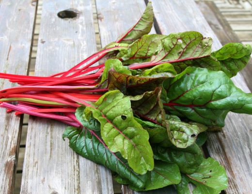 Saisonkalender Mai - regional - saisonal - essen - kochen - leben