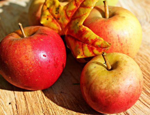 Rezepte - Oktober - Herbst - saisonal und regional kochen - Äpfel