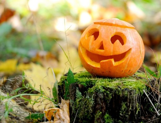 Warenkunden - Kürbis - Lagerung - Herkunft - Nährwerte -