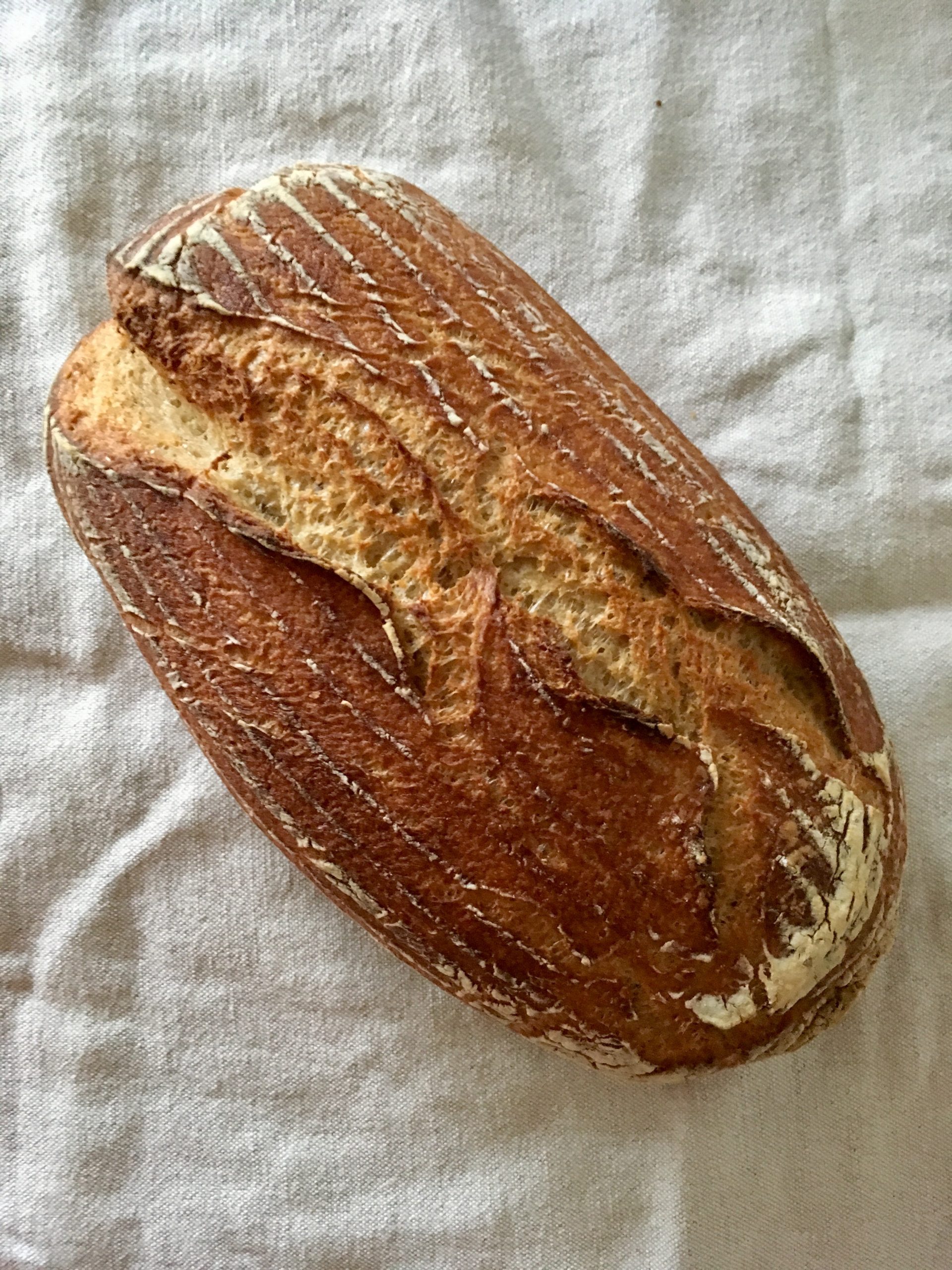 Rezepte - Backen - Brot - Sauerteigbrot ohne Hefe